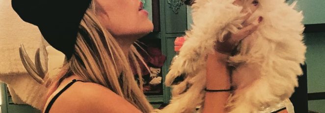 Meet Dolly: Brooke Eden’s 6-Month-Old Maltese Yorkie Poodle